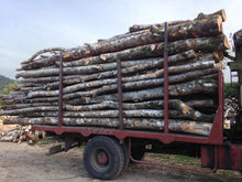 Afbeelding in Gallery-weergave laden, 60 sterre vrachtwagen Beuken Eiken Haagbeuk boomstam
